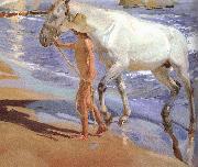 Joaquin Sorolla Horse bath oil painting